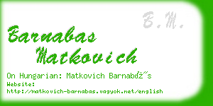 barnabas matkovich business card